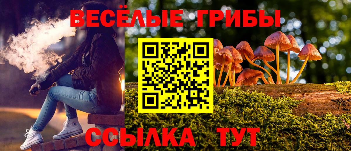 Галлюциногенные грибы ЛСД Заволжье